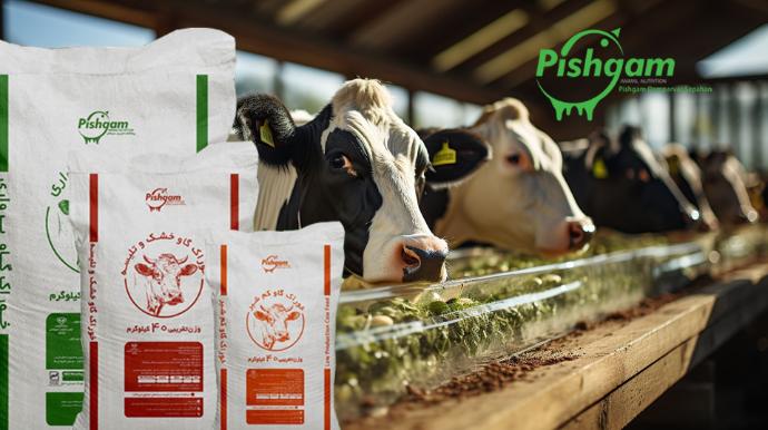 تولید سوپر استارتر آجیلی