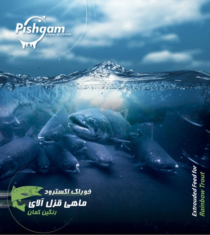 اکسترود ماهی قزل آلای رنگین‌کمان