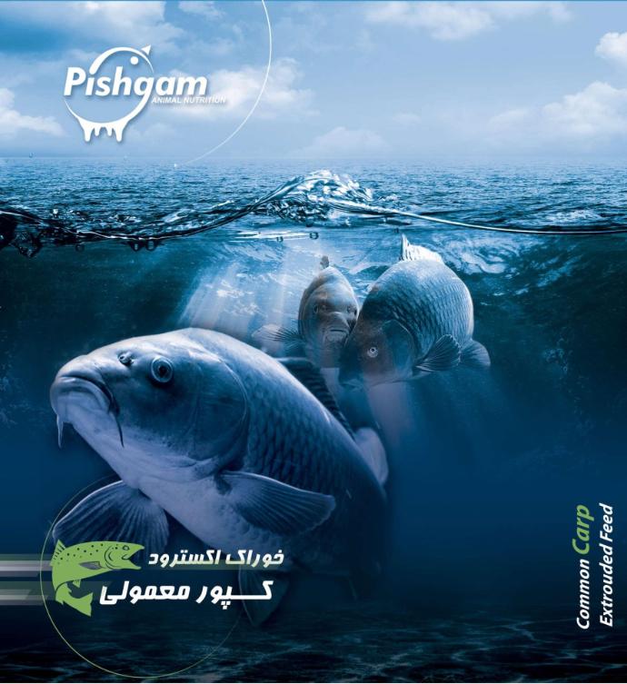 اکسترود کپور معمولی