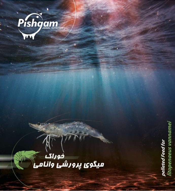 پلت میگوی پرورشی و نامی