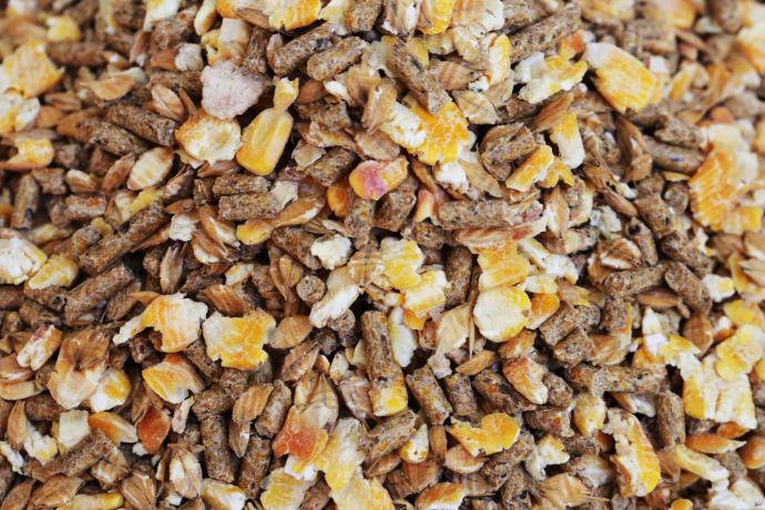 سوپر استارتر آجیلی