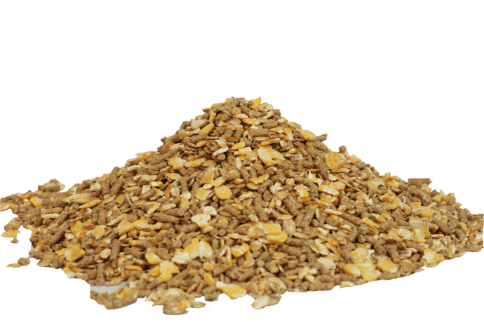 سوپر استارتر آجیلی پیشگام دامپرور سپاهان