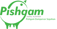 pishgam damparvar